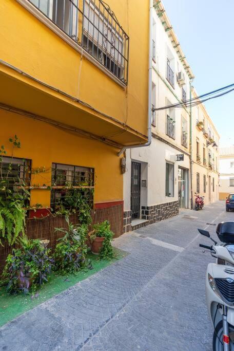 3 Bedroom Flat In Historic Centre Малага Экстерьер фото